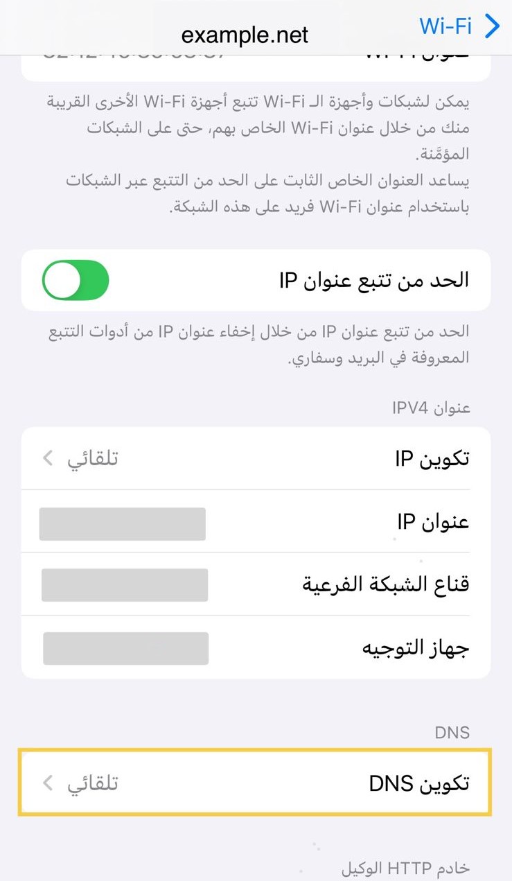 اختيار إعداد DNS